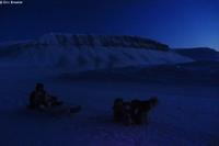 202 Premiere sortie en traineau avec 4 chiens