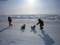 087 Plage de Grise Fiord