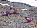 183 A la plage avec les copines de Grise Fiord