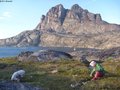 018 Myrtilles d Uummannaq