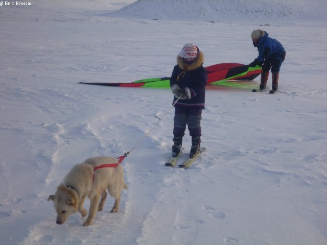 036 Kite et ski chien