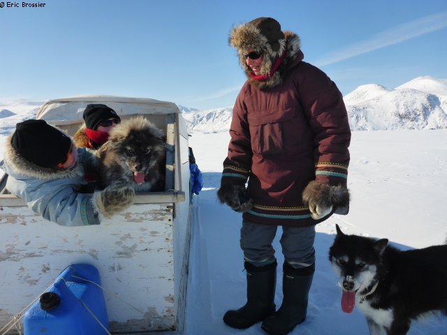 051 Les chiens tirent la langue