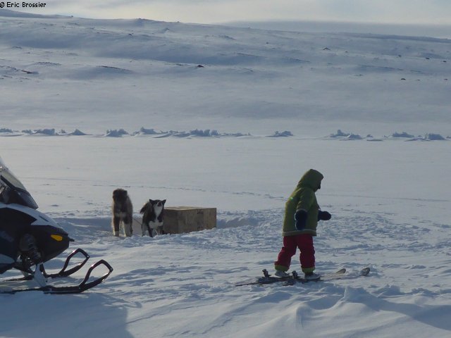 107 Aurore et grands skis