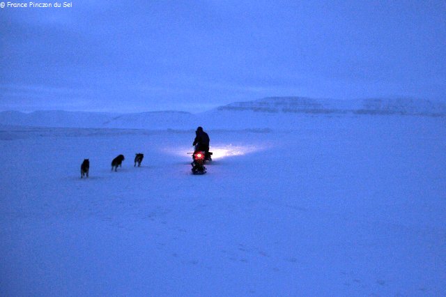 206 Depart manip avec papa et les chiens