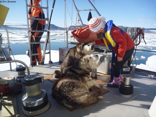 394 Chiens et Leonie sur le pont