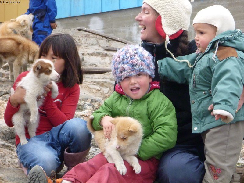 009d Avec jeunes chiots a Uummannaq